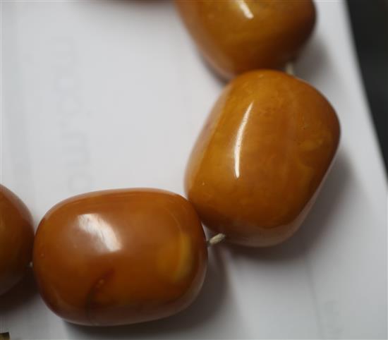 A large single strand graduated amber bead necklace, 36in.